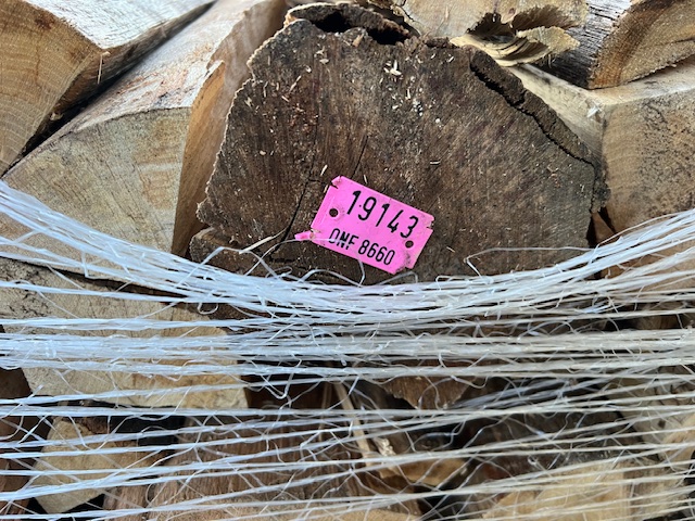 Brennholz aus Eiche, 30 cm, trockene Scheite auf Palette — Foto 3
