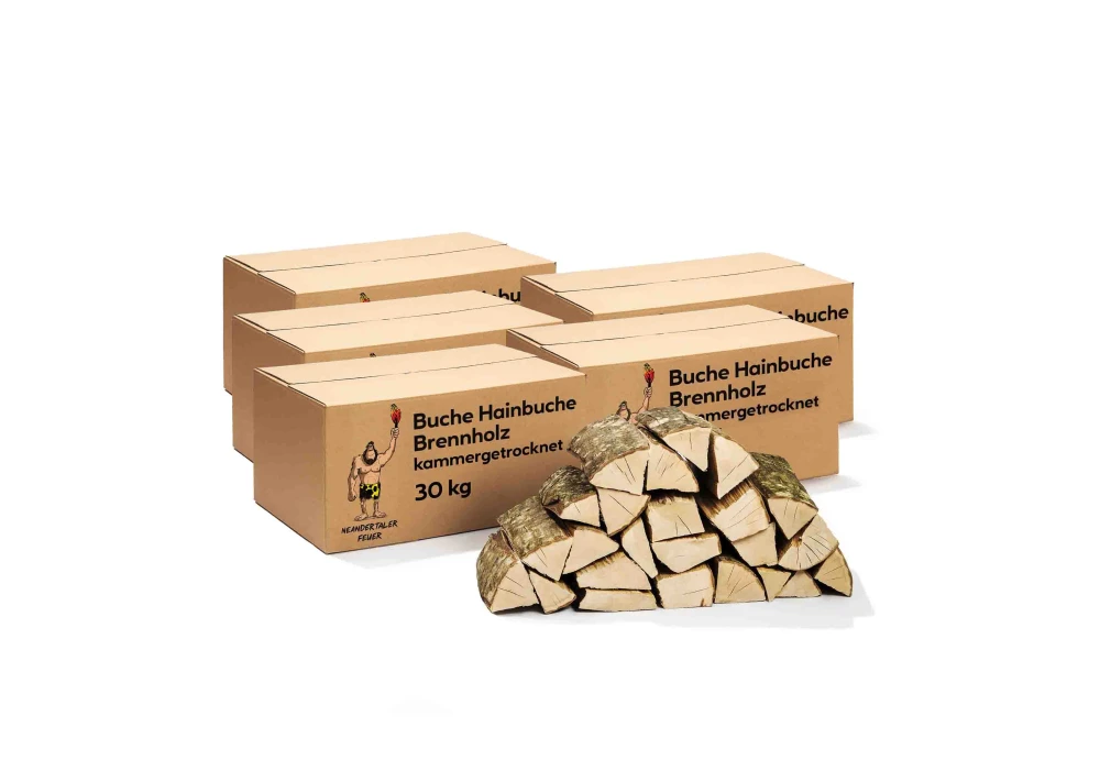 Brennholz Buche Hainbuche 240kg